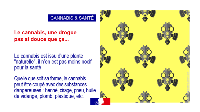 Cannabis et santé vignette 4