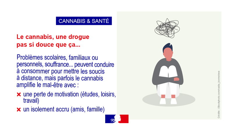 Cannabis et santé vignette 5