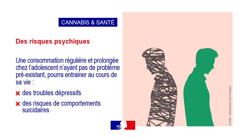 Cannabis et santé vignette 6