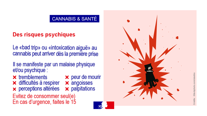 Cannabis : ne prenez plus de risques, autotestez-vous