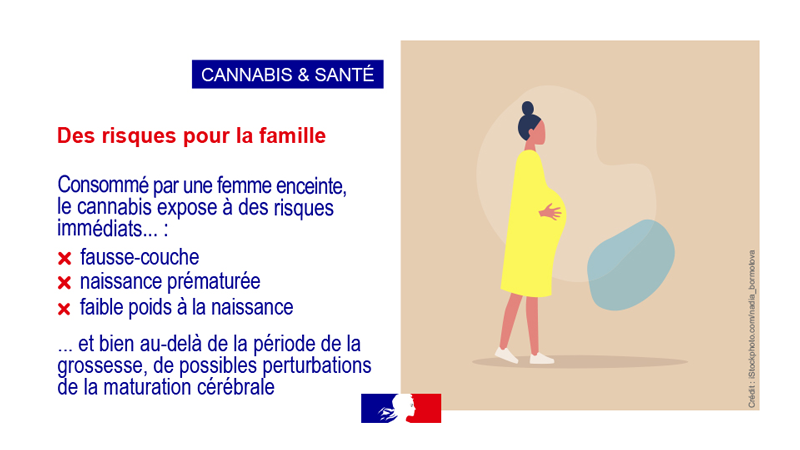 Cannabis et santé vignette 9