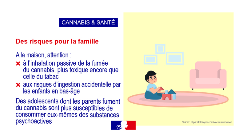 Cannabis et santé vignette 10