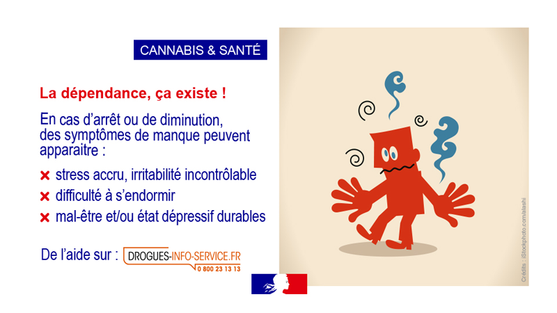 Cannabis et santé vignette 12