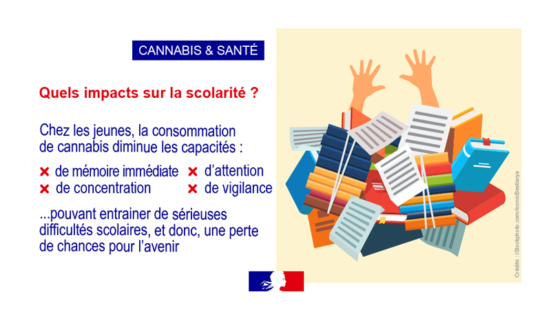 Cannabis et santé vignette 13