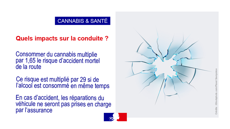 Cannabis et santé vignette 15