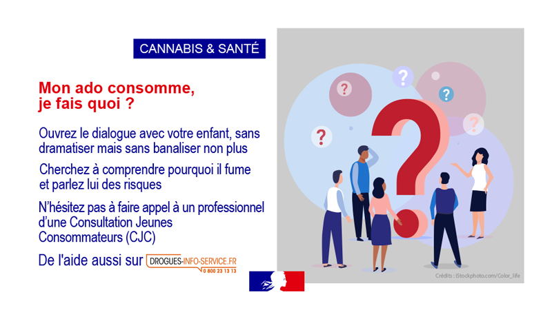 Cannabis et santé vignette 20