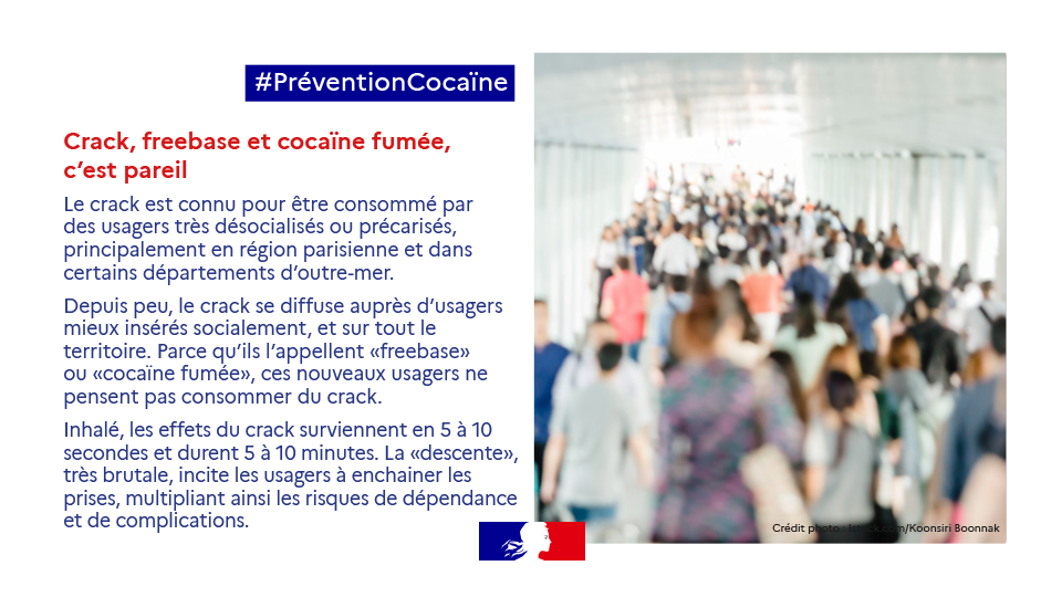 Campagne cocaïne vignette 5