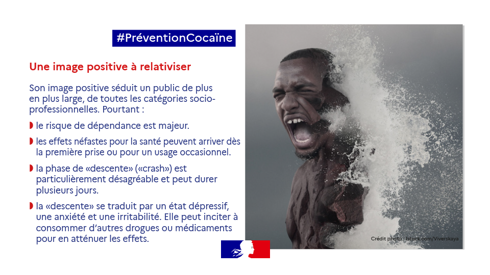 Campagne cocaïne vignette 7