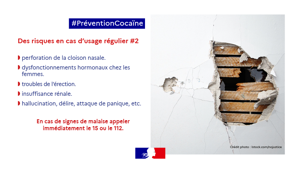 Campagne cocaïne vignette 13