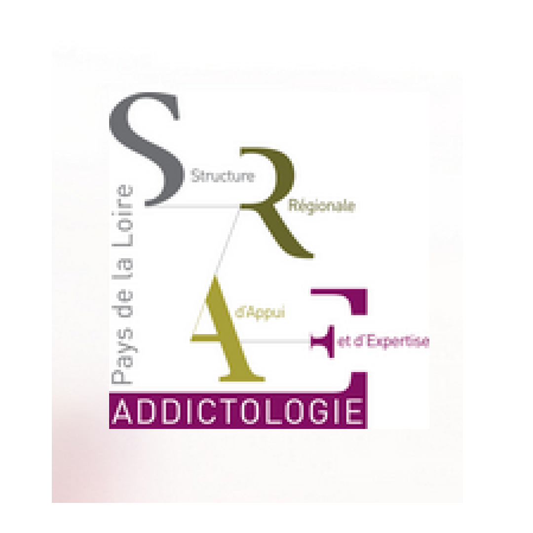 Webinaire 2025 SRAE