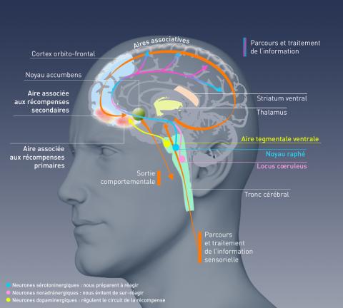 Vous pouvez deviner quelles étaient mes addictions en fonction de