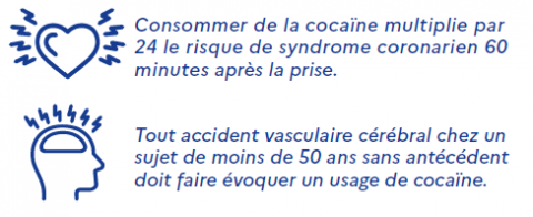 Infographie coeur et cerveau