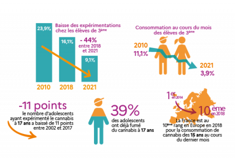 Cannabis : les fumeurs sont jeunes, diplômés, urbains, CSP+, et ce sont eux  qui sont le plus favorables à une réforme